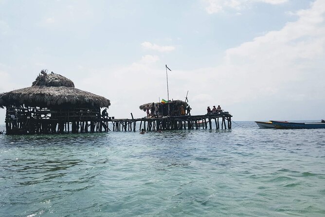 Private Tour from Negril to YS Falls and Pelican Bar - The best way to judge the value