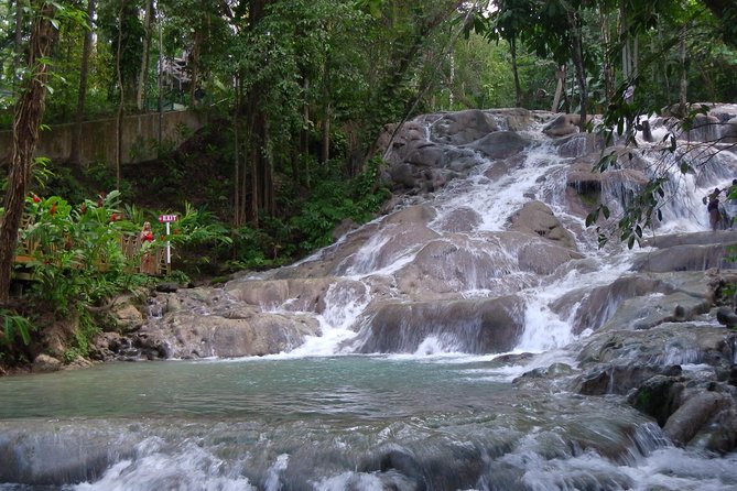 Private Tour From Ocho Rios To Dunn's River Falls - What the Private Format Really Adds