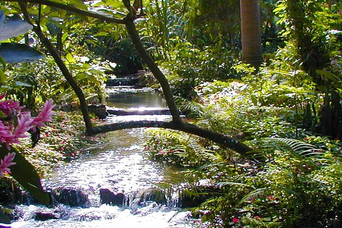 Private Tour From Ocho Rios To Konoko Falls And Garden and Shopping - Key points to know before you book