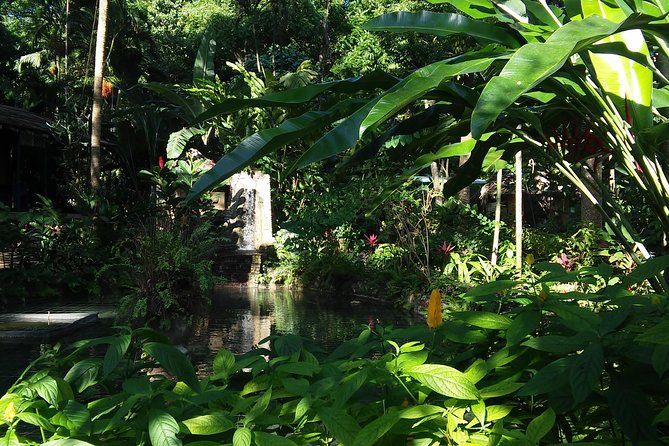 Private Tour From Ocho Rios To Konoko Falls And Garden and Shopping - A guide who handles the details