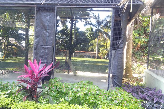 Private Tour From Ocho Rios To Konoko Falls And Garden and Shopping - Is $80 per person a fair price?