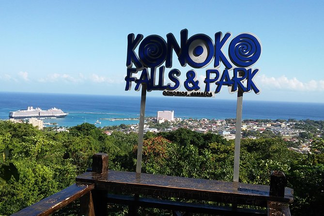 Private Tour From Ocho Rios To Konoko Falls And Garden and Shopping - Who will get the most from this outing?