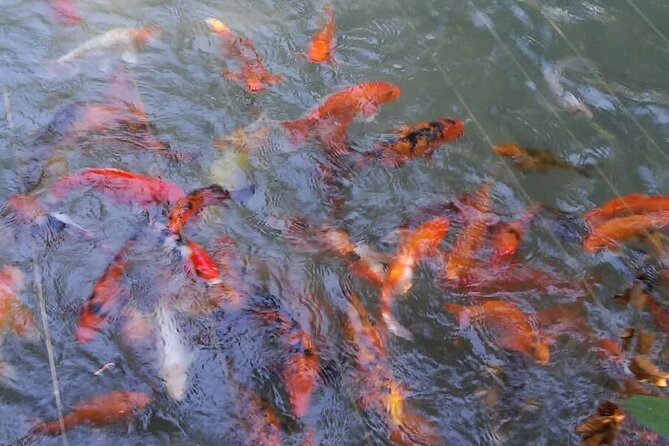 Private Tour From Ocho Rios To Konoko Falls And Garden and Shopping - Practical details for a smoother visit