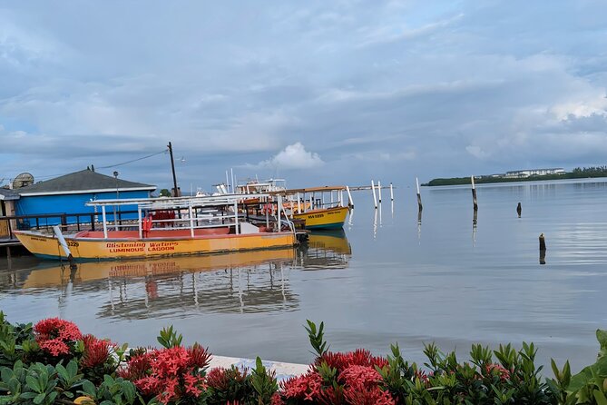 Private Tour in the Glistening Waters from Montego Bay - Weather, Cancellation, and Evening Planning