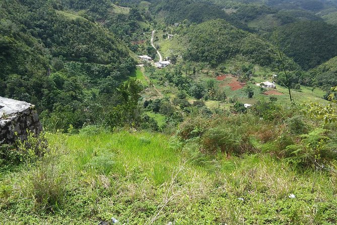 Private Tour Ocho Rios or Runaway Bay To 9 Mile Bob Marley Birth & Resting Place - At Nine Mile, music leads the way to Zion