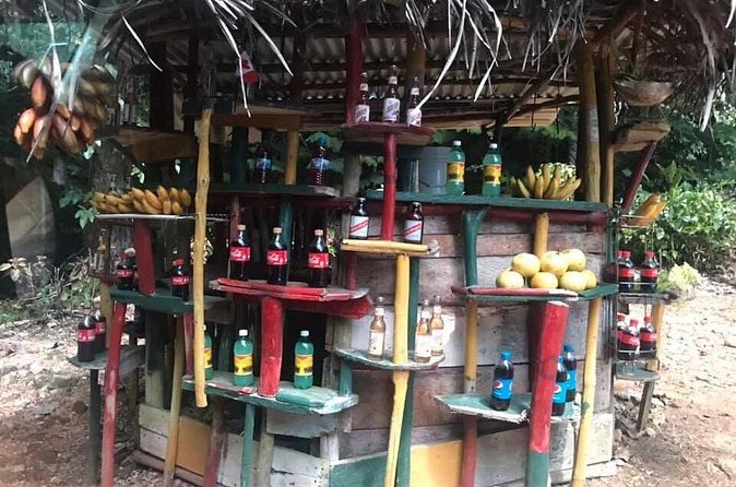 Private Tour of Bob Marley House from Ocho Rios - What the private format really adds