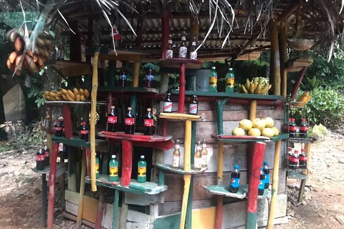 Private Tour of Bob Marley House from Ocho Rios - Is $125 per person a fair price?