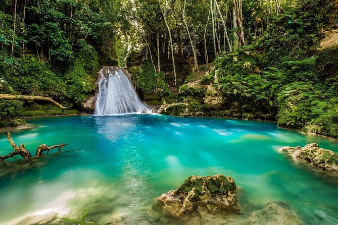 Private Tour To Blue Hole and Dunn’s River from Montego Bay - Barrington’s role makes a practical difference
