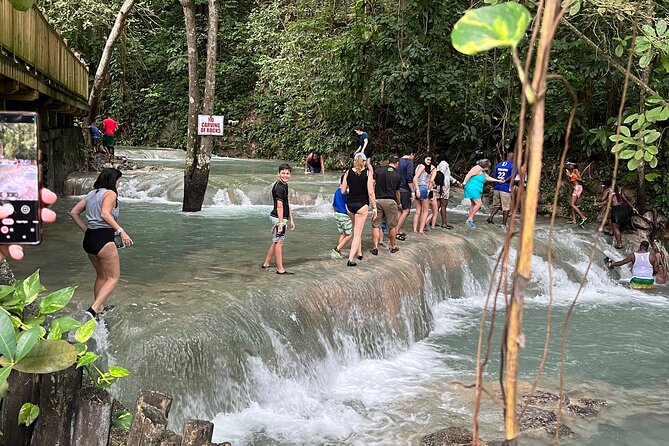 Private Tour To Blue Hole and Dunn’s River from Montego Bay - Who will get the most from this tour
