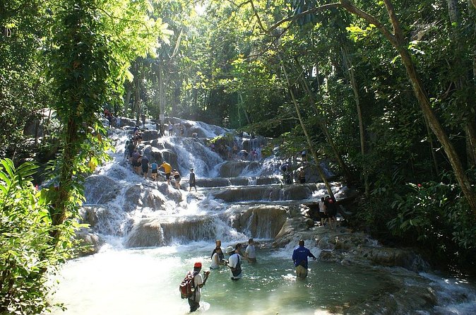 Private Tour to Dunns River and Horseback Riding with Local Guide - What Green adds to the day