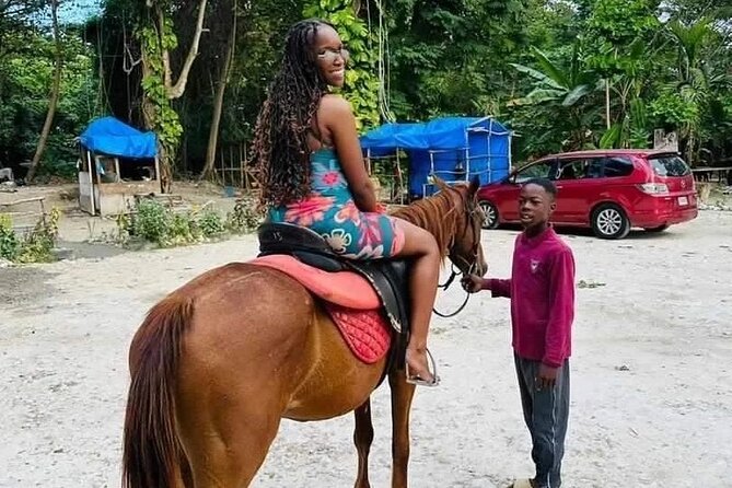 Private Transfer from Montego Bay to Dunns River Falls - Is $125 per person a fair price?