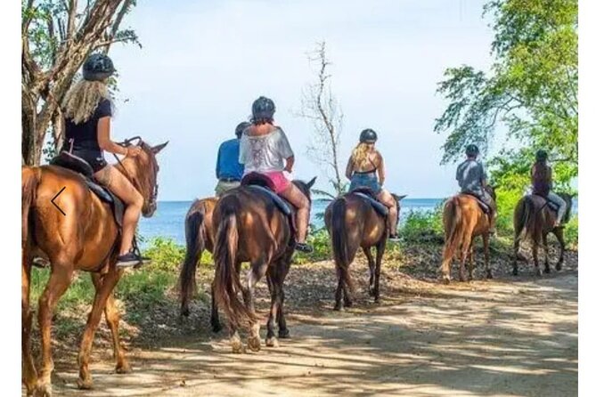Private Transport and Airport Transfer in Montego Bay - Why a private vehicle can be worth the $40 fare
