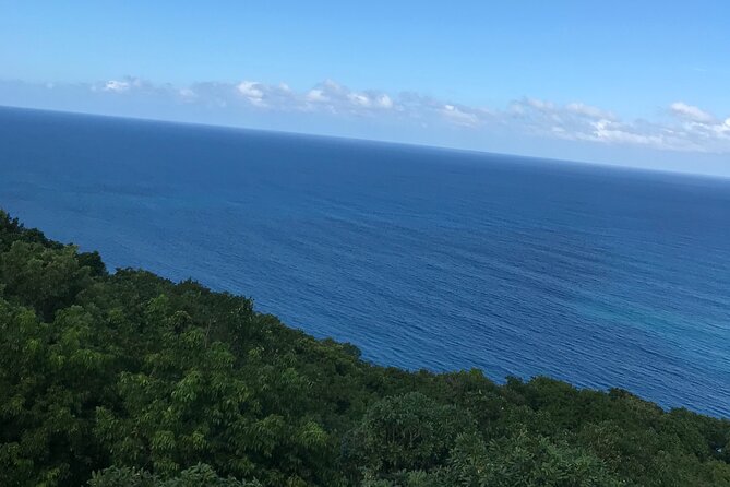Private Transportation from Montego Bay to Mystic Mountain and Dunn's River Fall - Why the driver can make or break the day