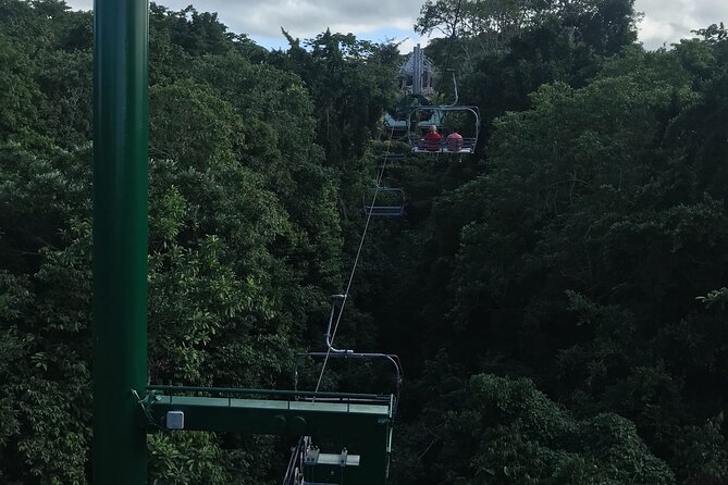 Private Transportation from Montego Bay to Mystic Mountain and Dunn's River Fall - Should you book it?