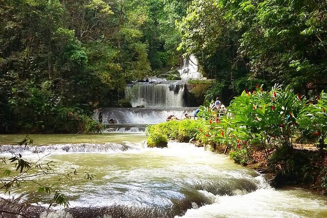 [PRIVATE] YS Falls, Black River, Pelican Bar - Entrance & Lunch - Floyd’s Pelican Bar: a drink on a sandbank