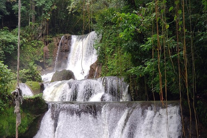 [PRIVATE] YS Falls, Black River, Pelican Bar - Entrance & Lunch - Who should book this day