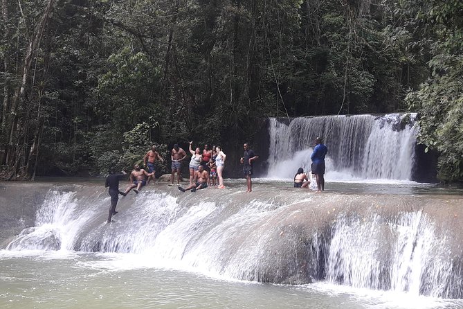 Private YS Falls Tour from Montego Bay - Ziplining and other choices at YS Falls