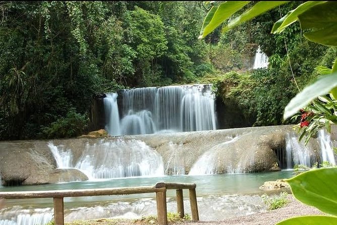 Private YS Falls Tour from Montego Bay - Guide service and the human side of the outing