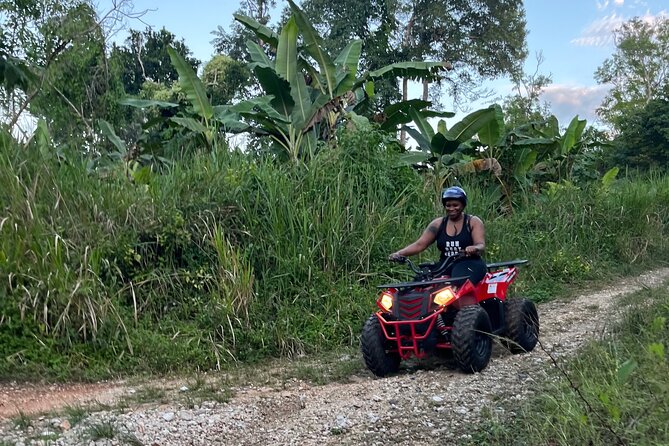 Rad Venture ATV, Transportation & Lunch - Ending among rainforest trails and photo stops