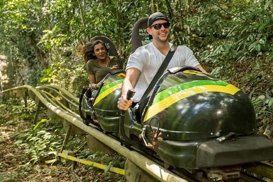 Rainforest Bobsled Mystic Mountain transportation - A realistic look at the day