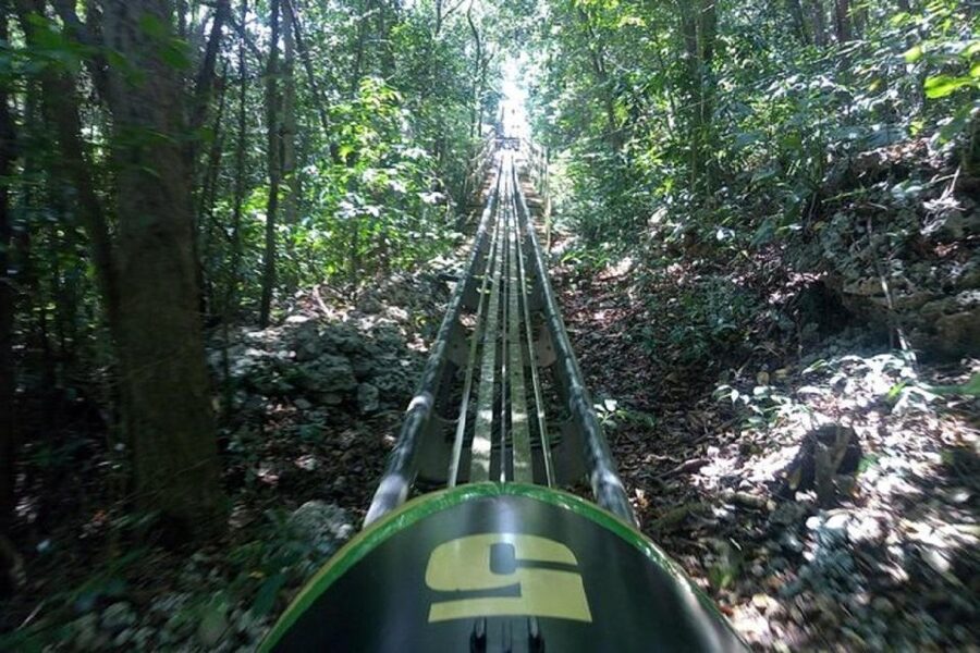 Rainforest Bobsled Mystic Mountain transportation - What to bring and what not to assume