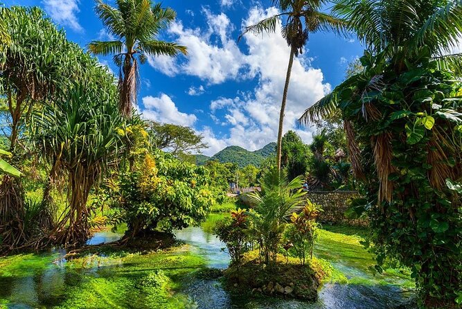 Rastafari Cultural ATV Community Experience from Montego Bay - Swimming in a natural mineral pool