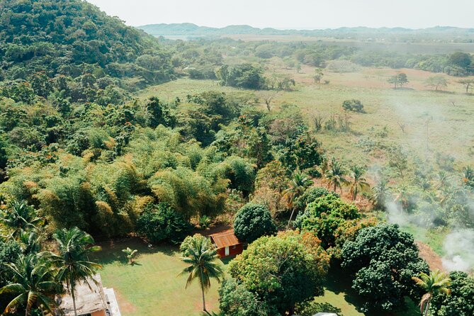 Rastafari Cultural ATV Community Experience from Montego Bay - What the $164.59 price gets you