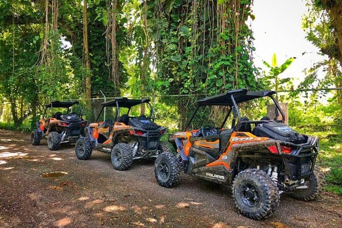 Rastafari Cultural ATV Community Experience from Negril - Key Points to Know Before You Go