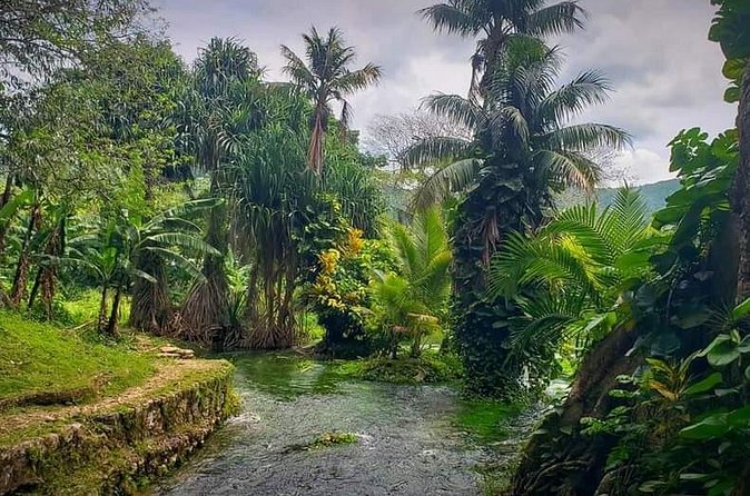 Rastafari Cultural ATV Community Experience from Negril - The Guides Shape the Experience
