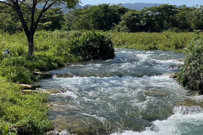 Rastasafari Experience ATV Adventure and Local Day Out - Why this is more than an ATV ride