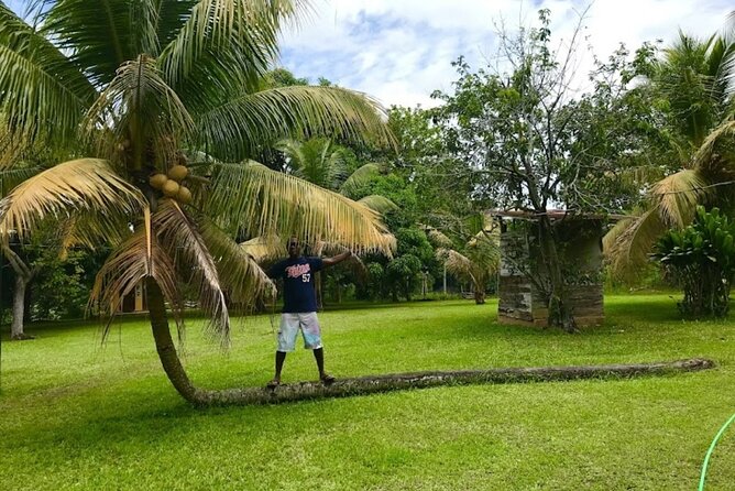 Rastasafari Experience ATV Adventure and Local Day Out - Tasting fruit, sugarcane, and local food
