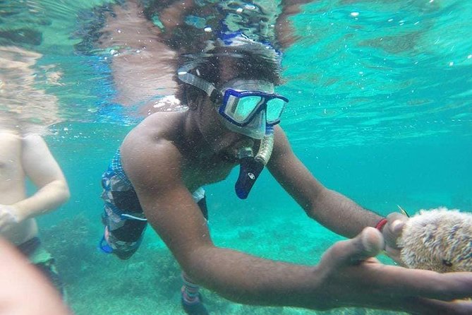 Rick's Cafe Sunset Cruise and Snorkelling - Booking, cancellation, and timing tips