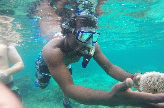 Rick's Cafe Sunset Cruise and Snorkelling - Should you book Rick’s Cafe Sunset Cruise and Snorkelling?