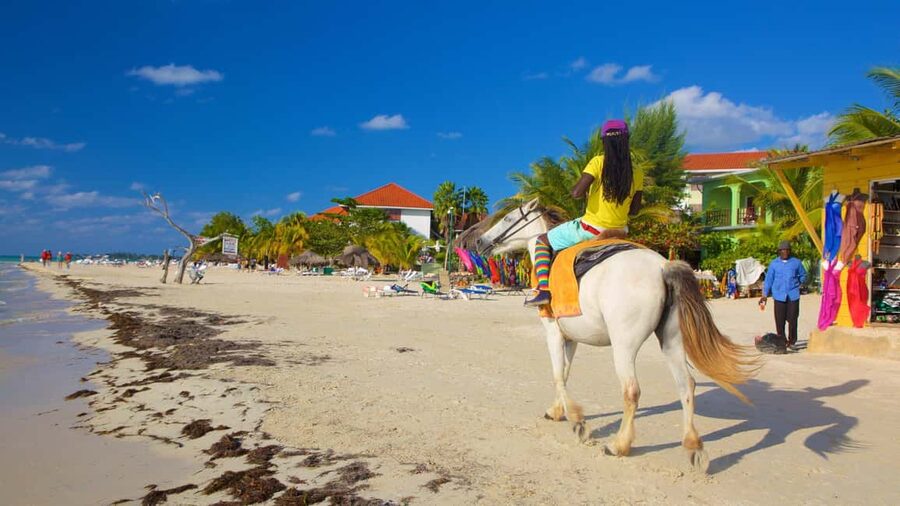 Ricks cafe & 7mile Beach Day Tour From Montego Bay. - Key points to know before booking