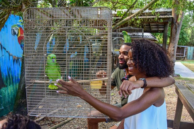 Rockland Bird Sanctuary plus Montego Bay Highlights & Shopping Private Tour - Key points to know before you go