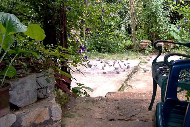 Rockland Bird Sanctuary plus Montego Bay Highlights & Shopping Private Tour - Is $123 per person a fair price?