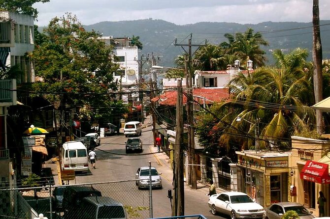 Rockland Bird Sanctuary plus Montego Bay Highlights & Shopping Private Tour - Who will enjoy this most