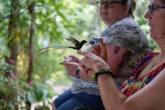 Rockland Bird Sanctuary Private Tour - Why Rocklands feels different from a standard bird stop