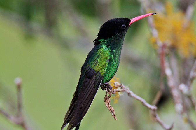 Rockland Bird Sanctuary Private Tour - The trail visit and the value of a private guide