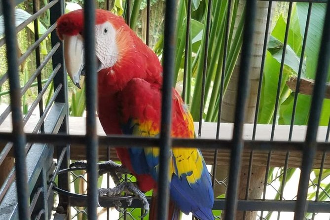 Rockland Bird Sanctuary Private Tour - Is $97.44 a fair price?