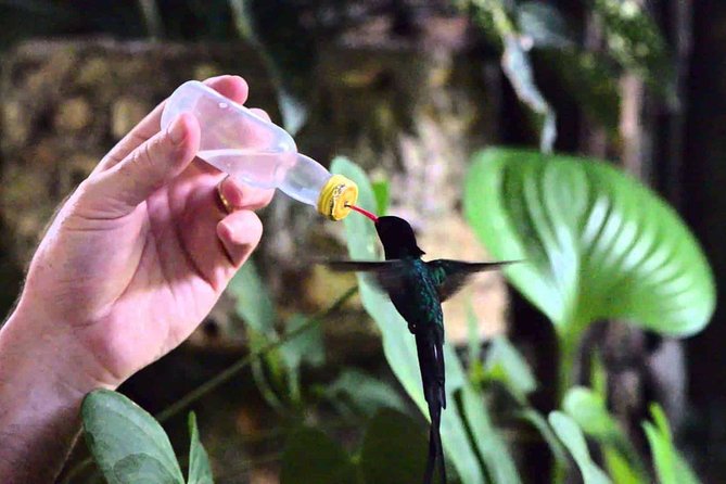 Rockland Bird Sanctuary Private Tour - Weather, cancellation, and planning details
