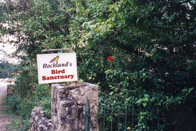 Rockland Bird Sanctuary Private Tour - The guided walk beyond the feeding station