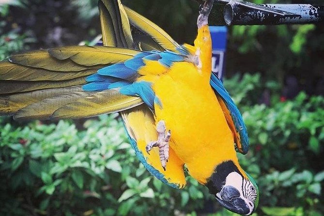 Rockland Bird Sanctuary Tour [Transportation] Hotel Pick-Up - Key points to know before booking
