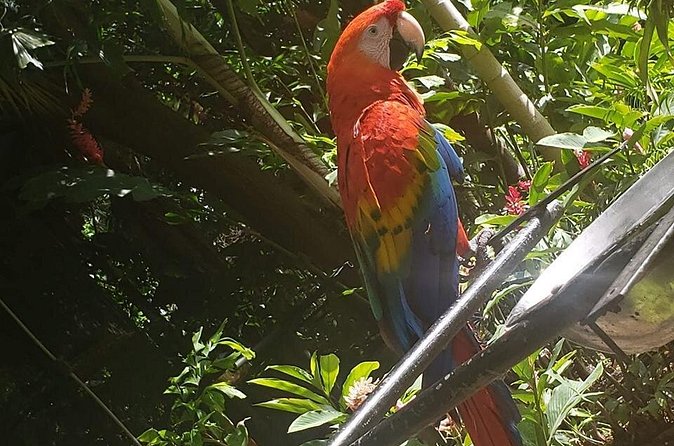 Rockland Bird Sanctuary Tour [Transportation] Hotel Pick-Up - Who will enjoy Rockland most