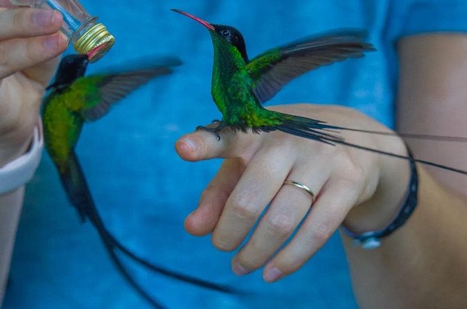 Rocklands Bird Sanctuary and Montego Bay Highlights - A private tour changes the value of the $120 price