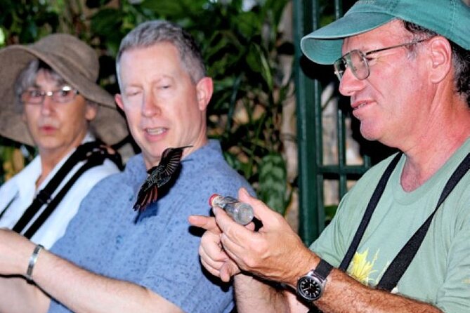 Rocklands Bird Sanctuary and Montego Bay Highlights Tour from Falmouth - Hand-feeding Jamaica’s Doctor Bird
