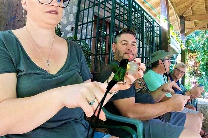 Rocklands Bird Sanctuary and Montego Bay Highlights Tour from Falmouth - Who will enjoy this day most