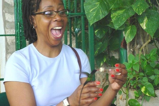 Rocklands Bird Sanctuary & City Highlights plus Shopping from Montego Bay - Key points at a glance