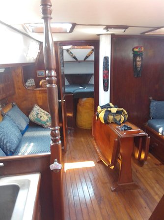 Sailing Adventure Cruise from Montego Bay - The coral reef stop and its marine life