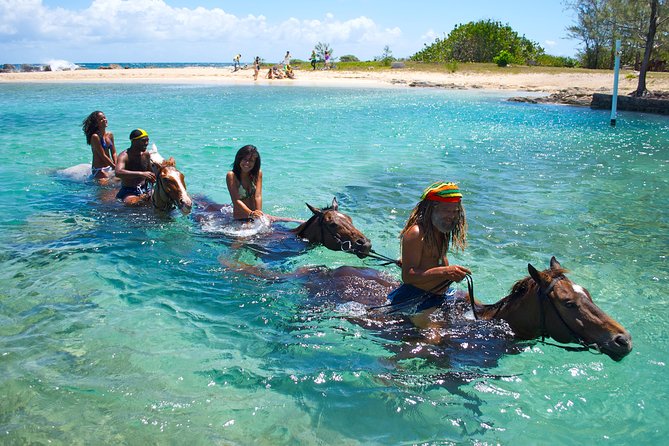 Sand n Saddle Horseback Ride & Swim Tour from Falmouth - Who should book this ride